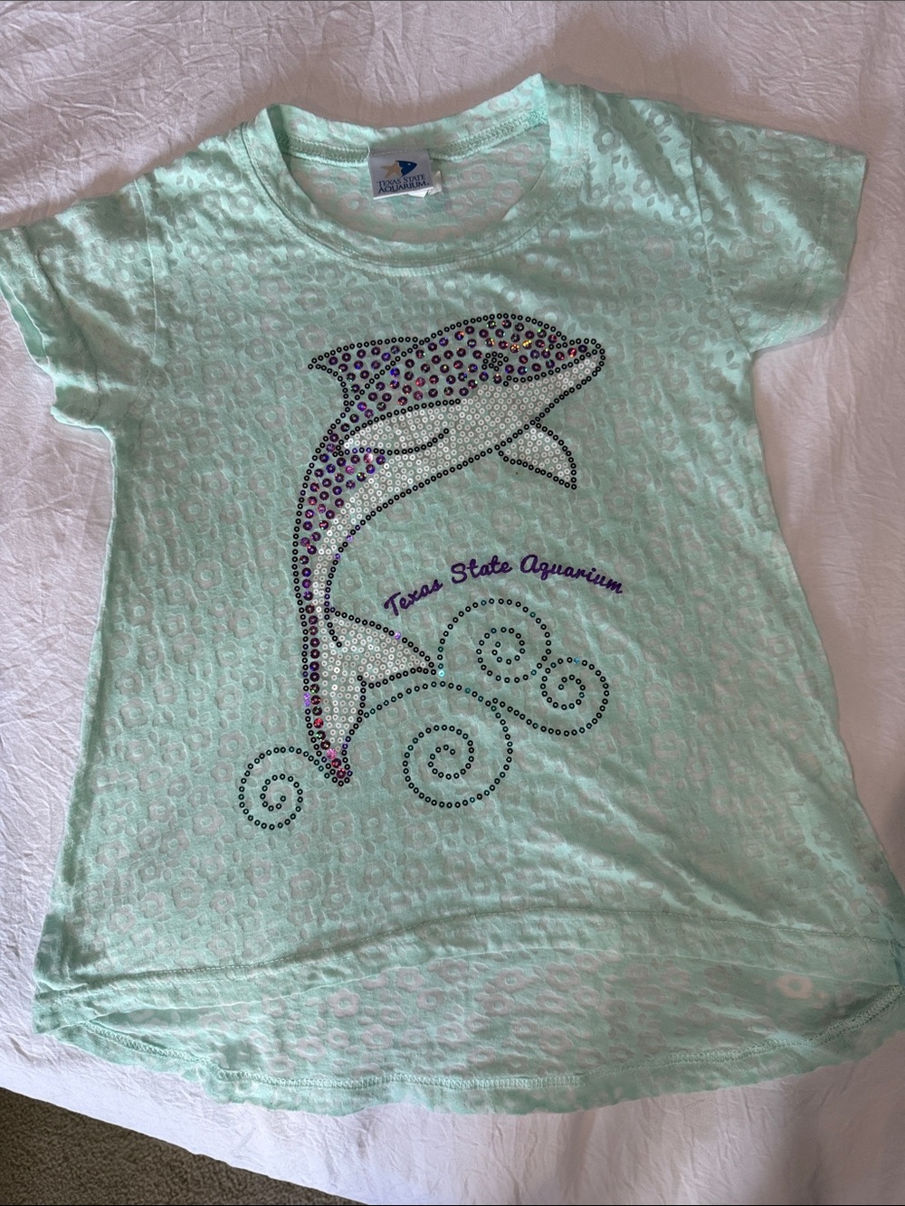 Girls' Mint Texas State Aquarium Sheer Dolphin Tee